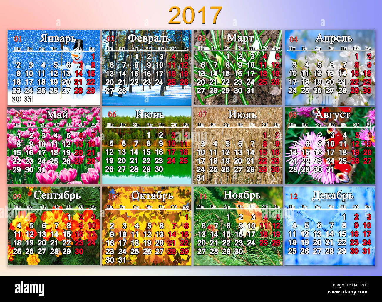 Kalender für das Jahr 2017 mit Foto der Natur für jeden Monat mit Inschriften Wochentage und Monate in russischer Sprache Stockfoto