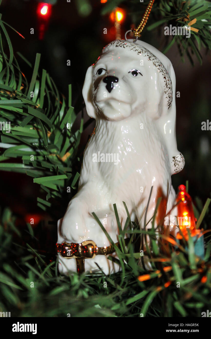 Weihnachten Hund, golden Retriever, Ornament in schlafen Kappe ruhen seine Pfote auf ein Geschenk hübsch verpackt für den Urlaub Stockfoto