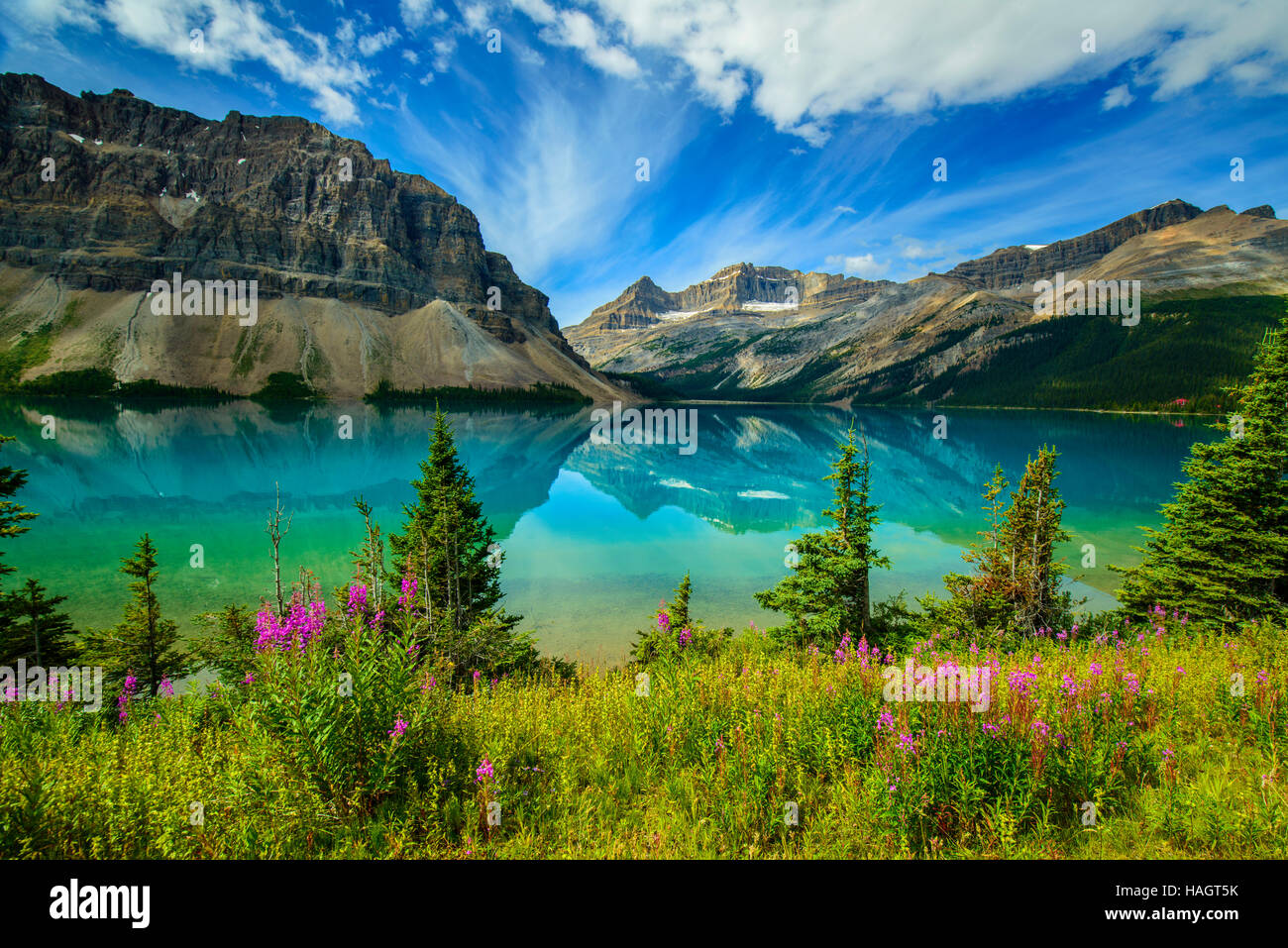 Bow Lake, Banff Nationalpark, Alberta, Kanada Stockfoto