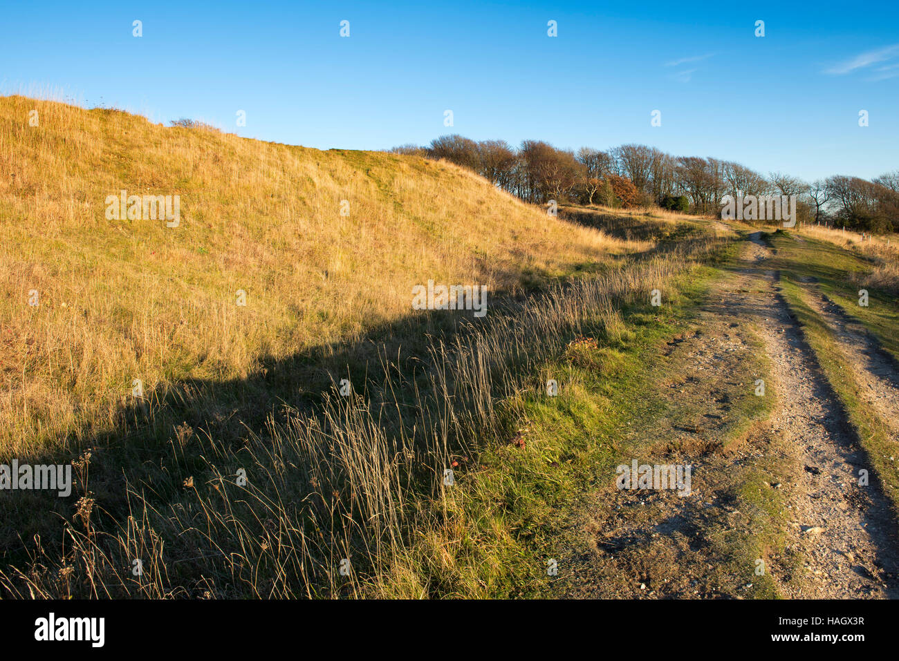 Der Erdwall und Graben am südöstlichen Rand von Cissbury Ring, der zweitgrößte Eisenzeit Wallburg in England Stockfoto