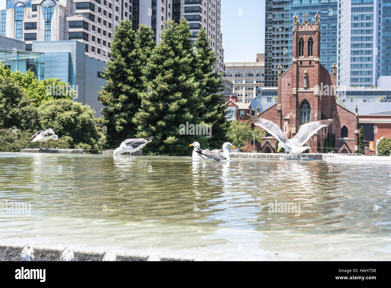 Kirche von San Patrick, San Francisco Stockfoto