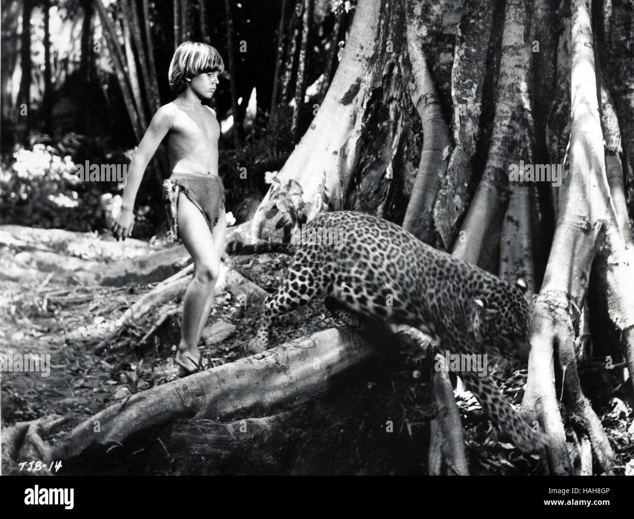 Tarzan und der Dschungel-Boy-Jahr: 1968 USA Regie: Robert Gordon Steve Bond Stockfoto