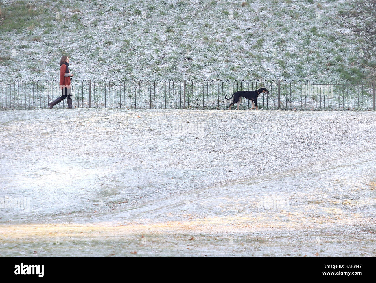 Eine Frau kommt einen Hund letzten gefrorenen Rasen im Greenwich Park, nachdem eines der kältesten Nächten im Herbst in diesem Jahr in England und Wales. Stockfoto