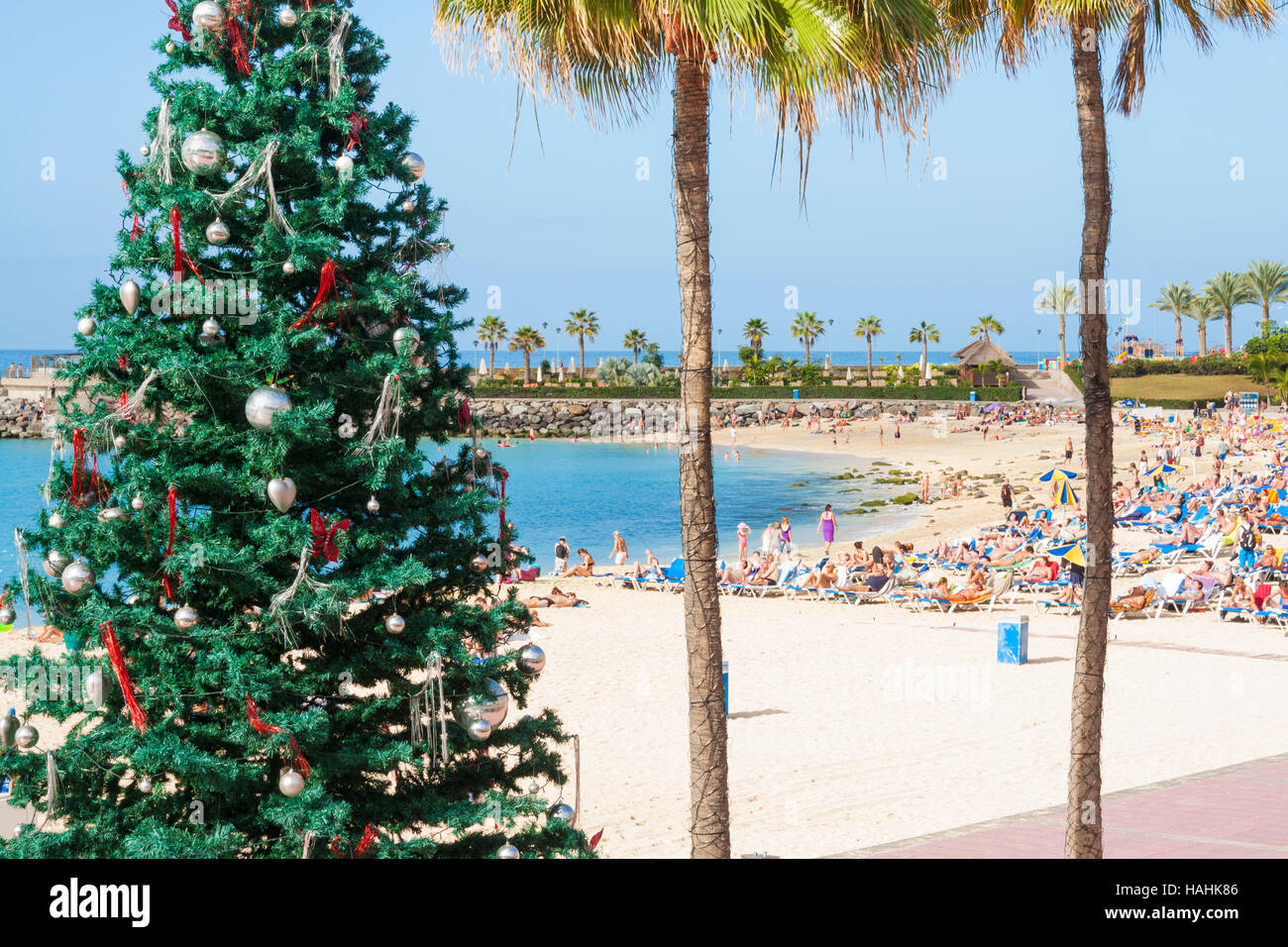 Weihnachtsbaum am Strand von Playa de Amadores auf Gran Canaria, Kanarische Inseln, Spanien Stockfoto