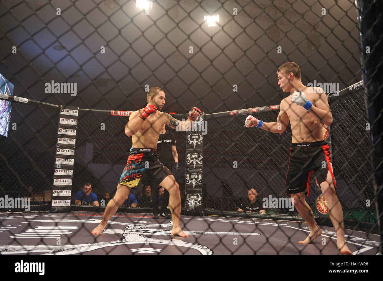 SYKTYVKAR, Russland - 26. November 2016: Parma MMA Profikämpfen-7 Turnier. Stockfoto