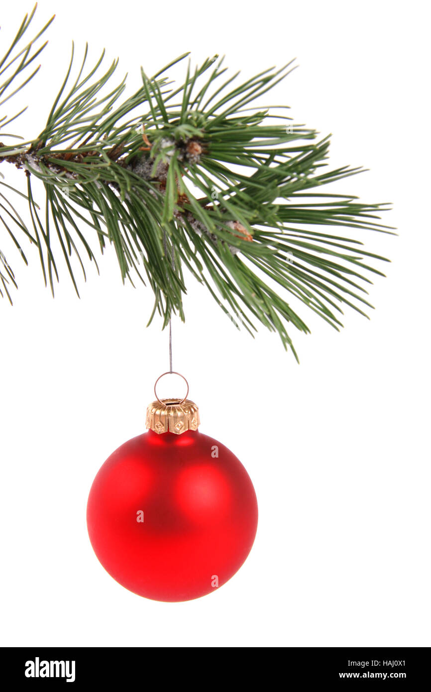 Rote Weihnachtskugel Tannenzweig Baum hängen Stockfoto