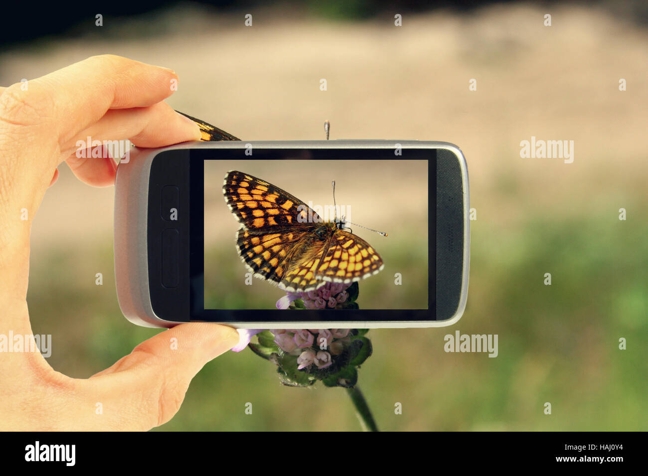 Unter Bild mit Handy Stockfoto