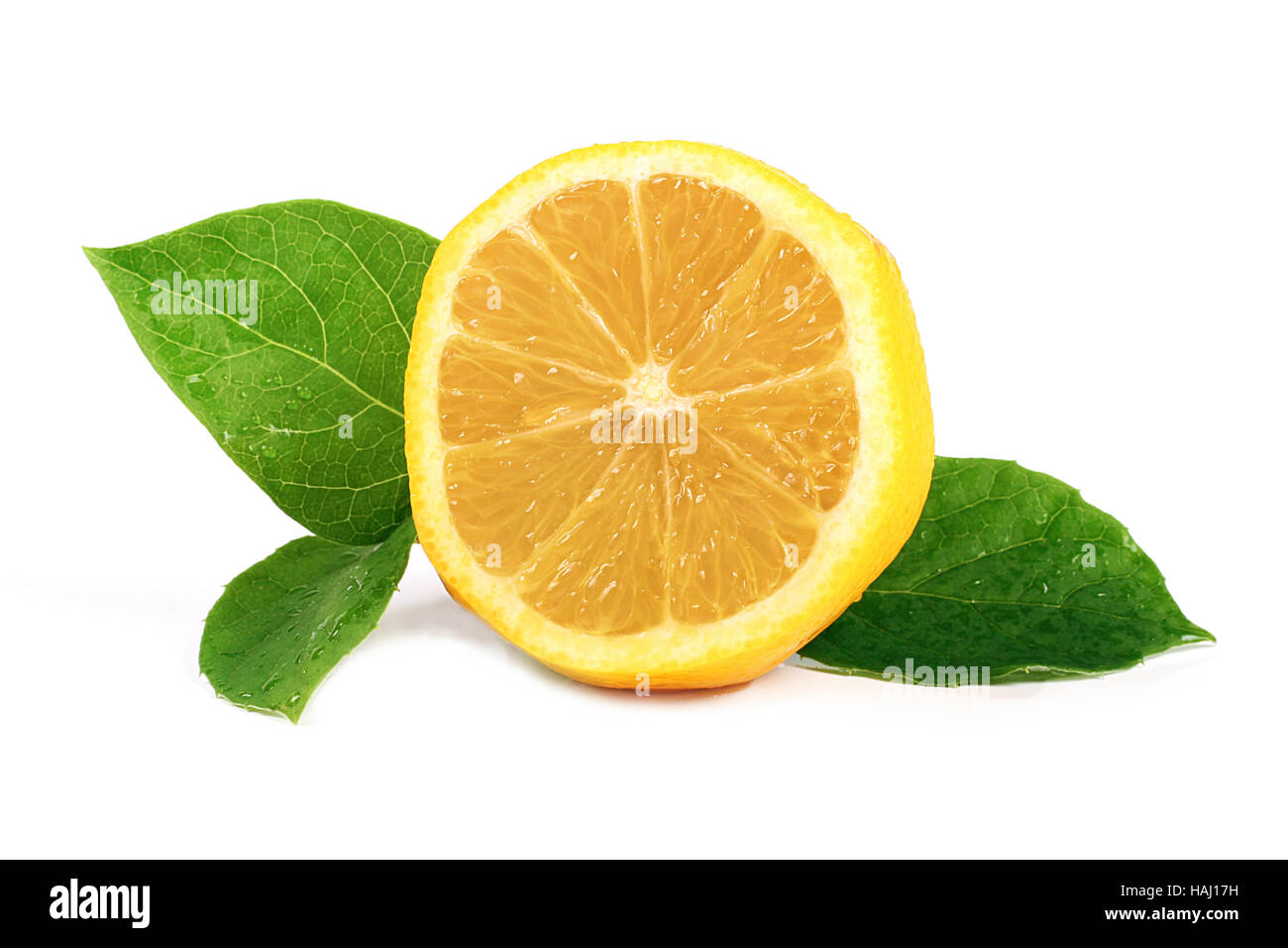 frischer Zitrone mit verlässt isolierten auf weißen Hintergrund Stockfoto