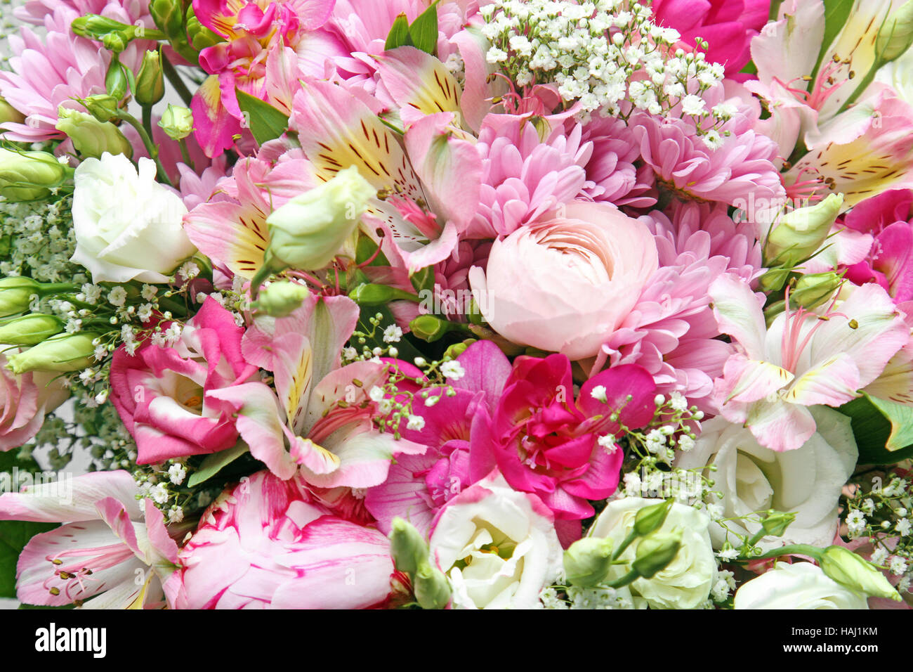 farbigen Hintergrund Blumen Stockfoto