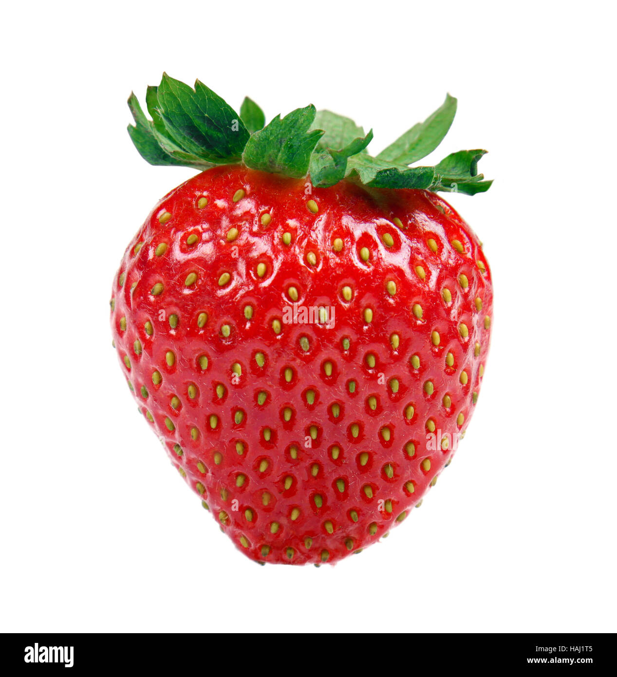 Erdbeere, isoliert auf weißem Hintergrund Stockfoto