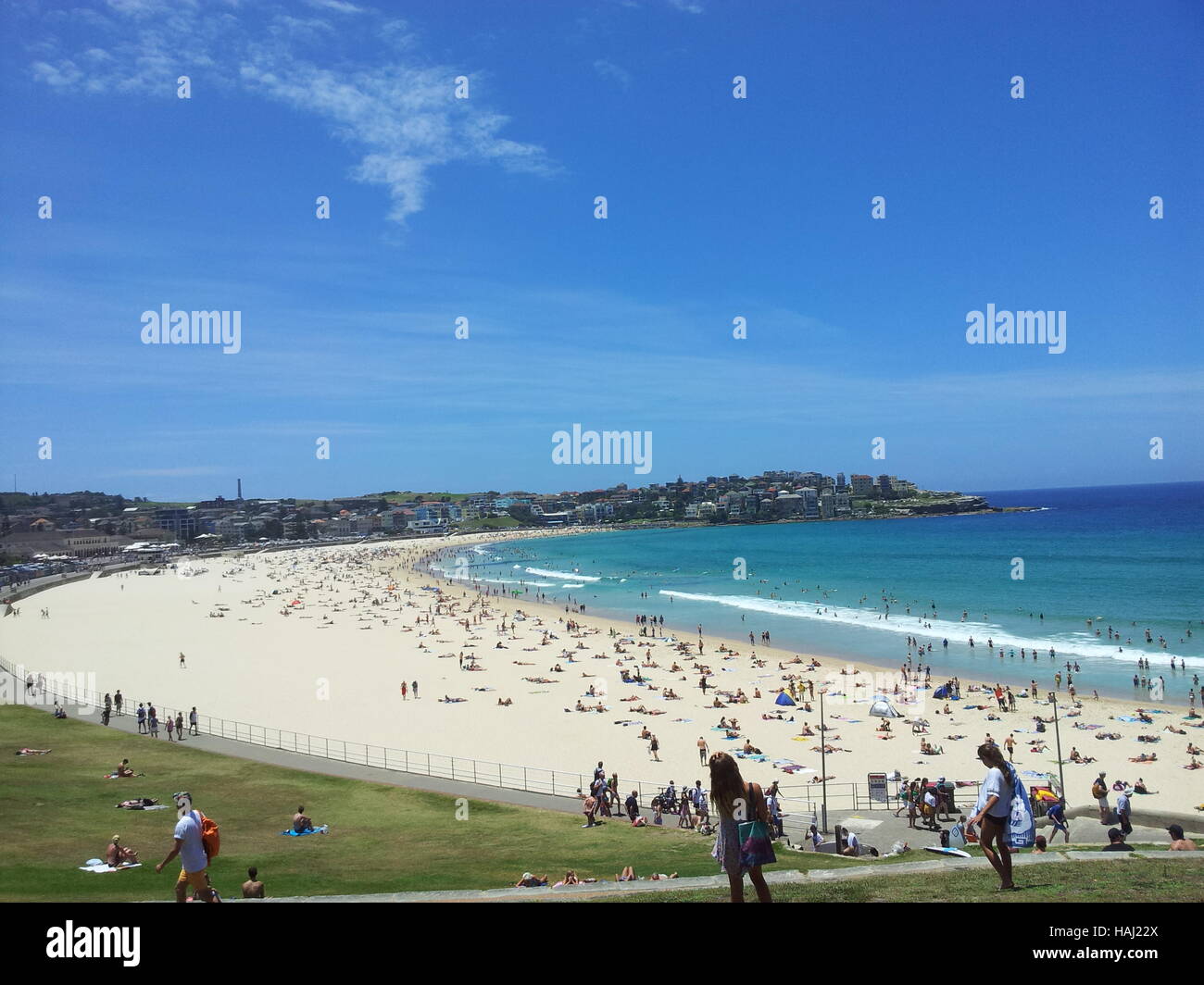 Bondi Beach, Sydney Australien Stockfoto