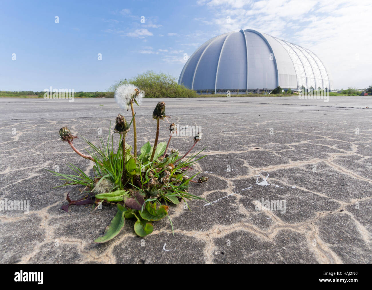 "Tropical Island" Resort und Themenpark in Brandenburg, Deutschland
