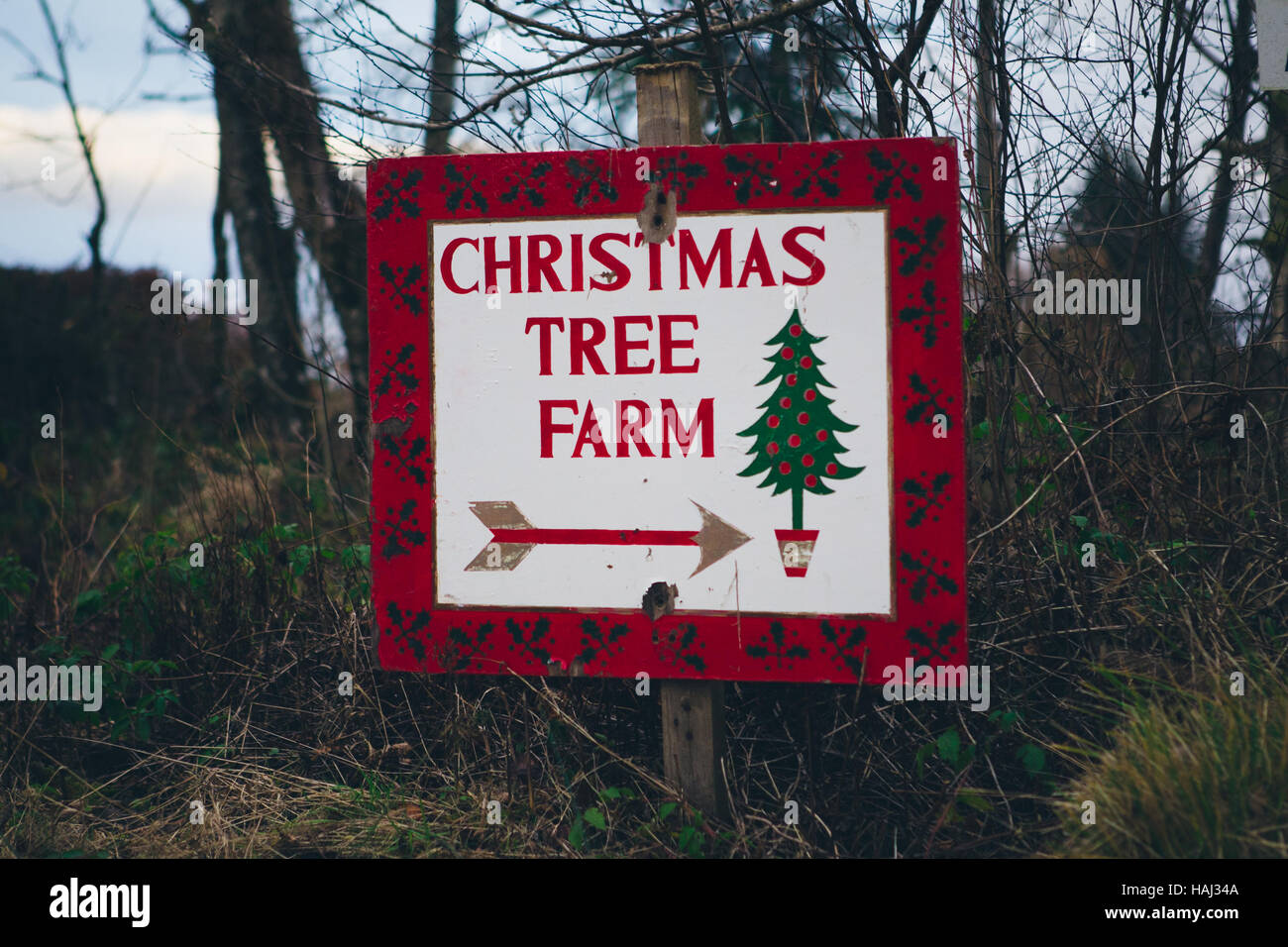 Christmas Tree Farm Zeichen Stockfoto