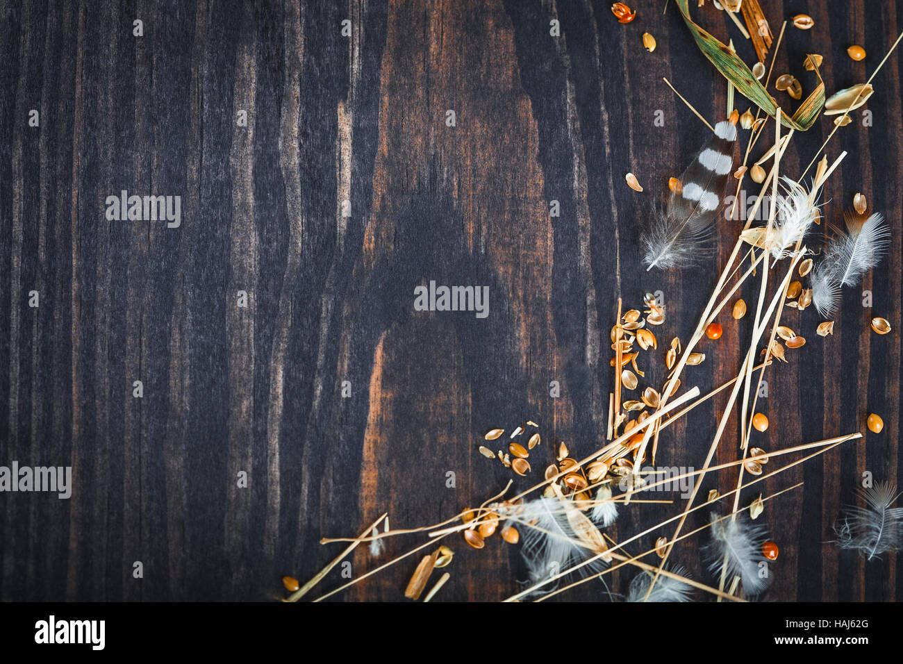 Dunklem Holz mit Heu, Federn und Getreide Hirse. Stockfoto