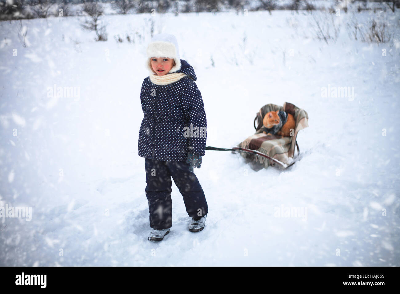 Kleines Mädchen fuhr Schlitten Whith eine rote Katze auf Schnee auf dem Lande. Stockfoto