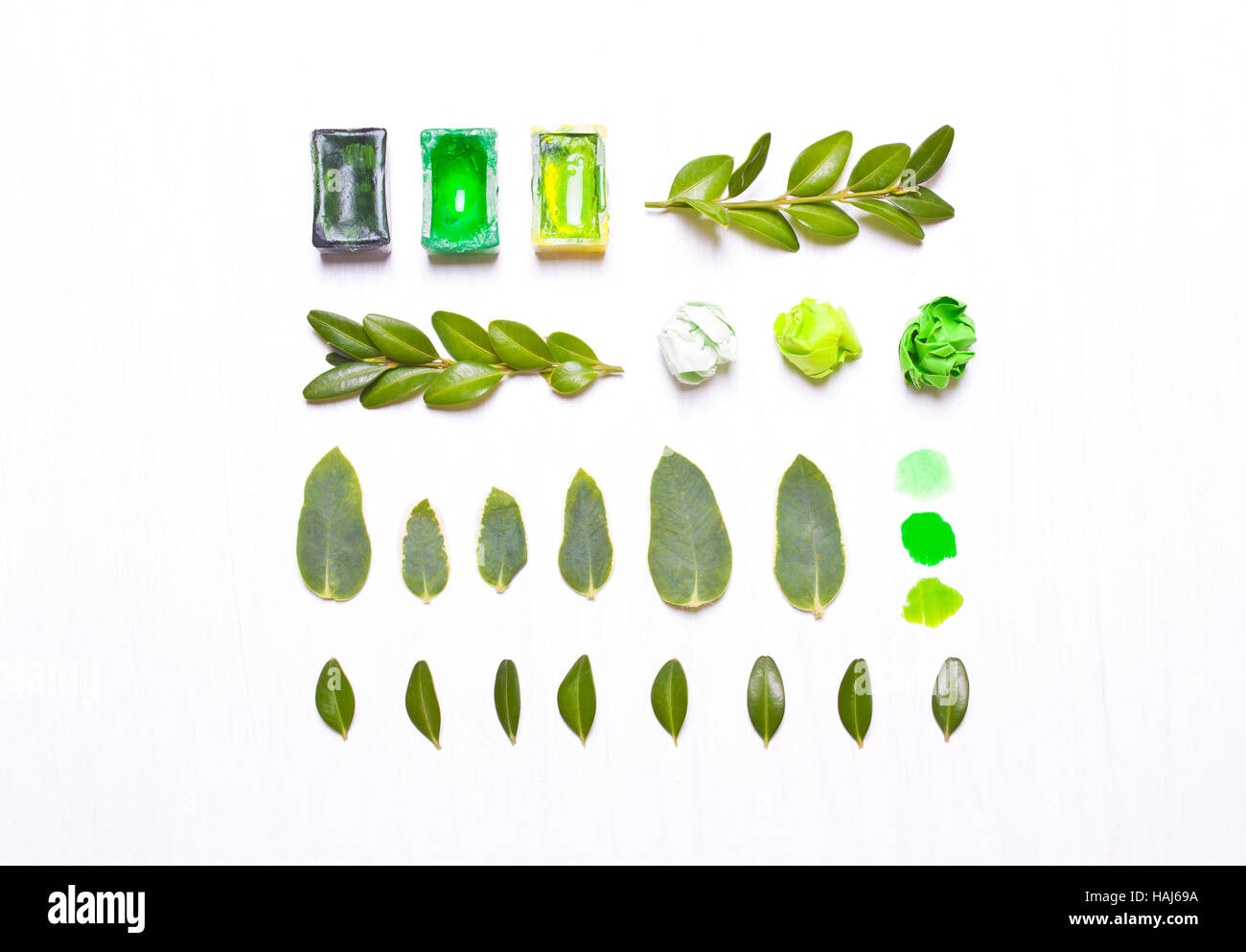 Farben, grüne Blätter in Folge. Concept Art. Arbeitsplatz, Designertisch. Flach legen, obenliegende Ansicht. Geben Sie flach, oben Ansicht von Stockfoto