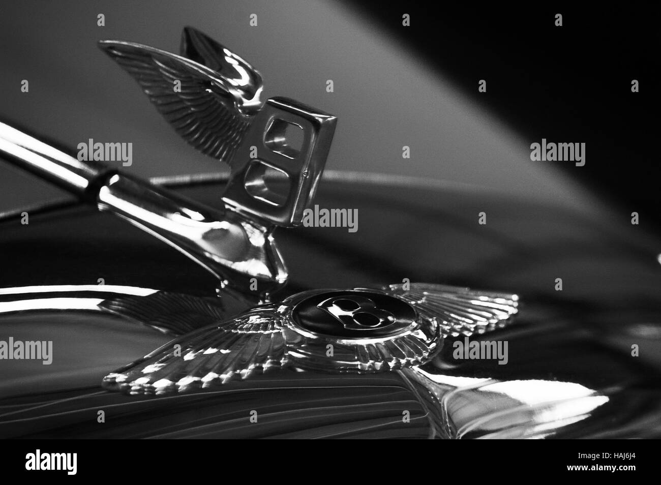 Gummipuffer Für Heckklappe 8733AR | Kofferraum-Anschlagpuffer Für Peugeot 508 2010-2018 | Einfach Zu Montieren