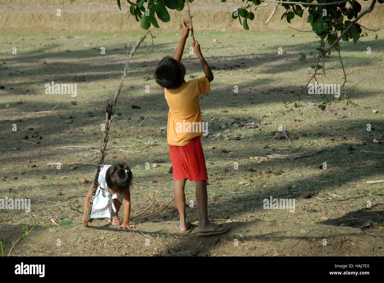 Bruder und Schwester sammeln Früchte von einem Baum, Dschungel, Lawigan, San, Joaquin, Iloilo, Philippinen. Stockfoto