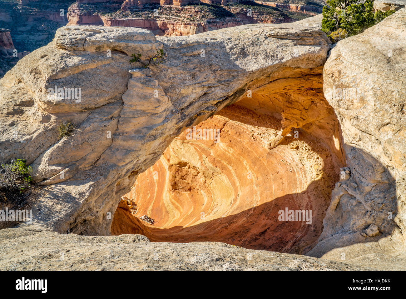 Einer der zahlreichen Sandstein Bögen im Rattlesnake Canyon, ein beliebtes Wandergebiet in der Nähe von Grand Junction, Colorado Stockfoto