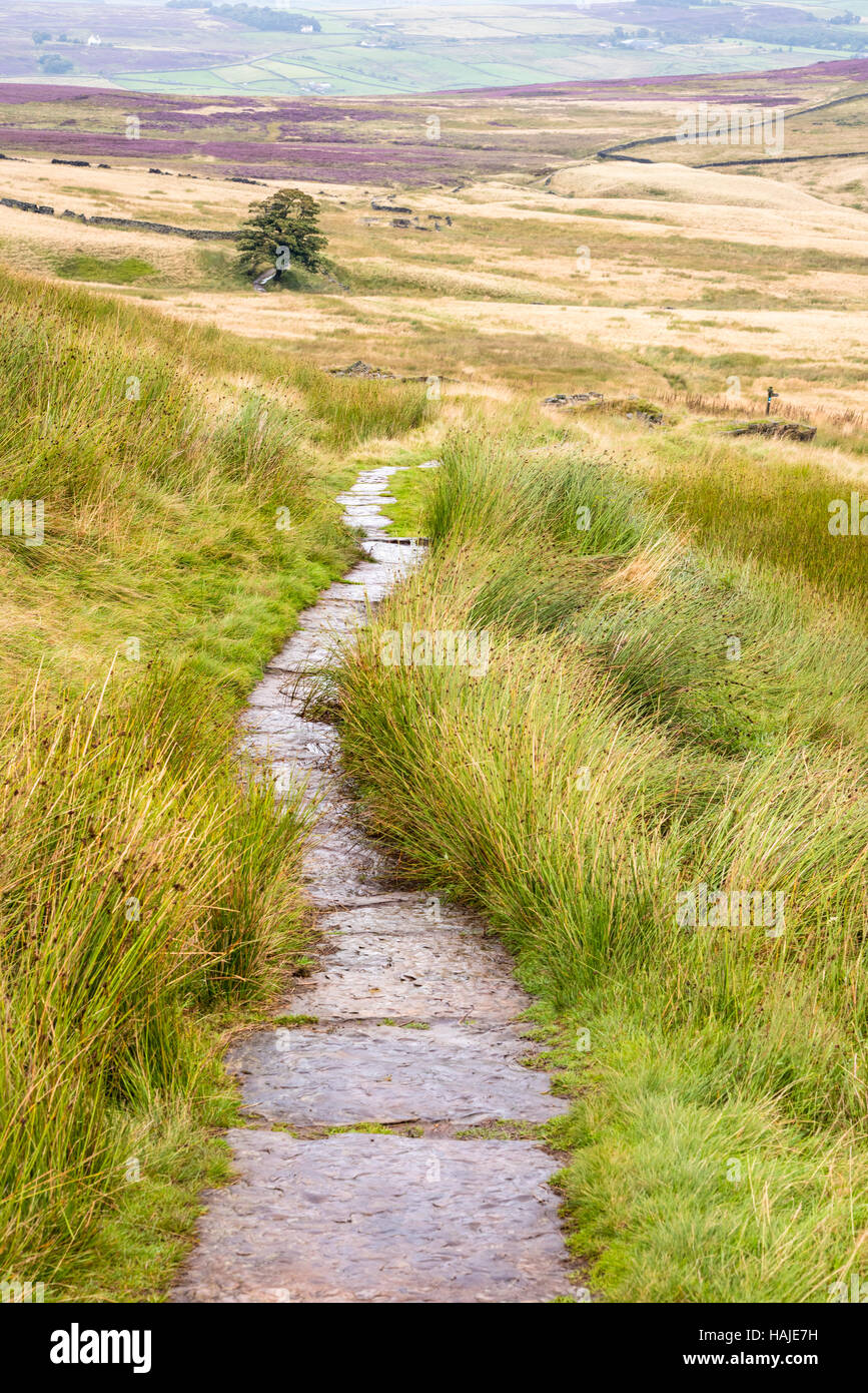 Ein Weg zum Top Withens, in der Nähe von Haworth Dorf, Bronte Land, Yorkshire, Großbritannien Stockfoto