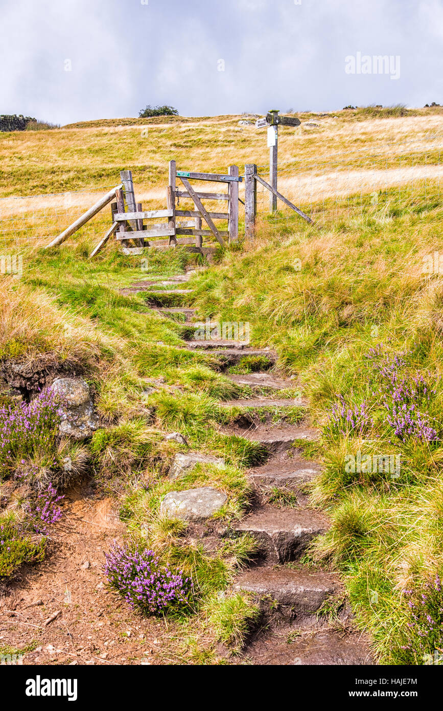 Ein Weg zum Top Withens, in der Nähe von Haworth Dorf, Bronte Land, Yorkshire, Großbritannien Stockfoto