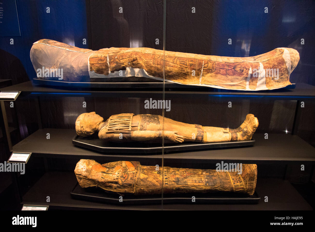 Ägypten Mumien im Museum leiden Stockfoto