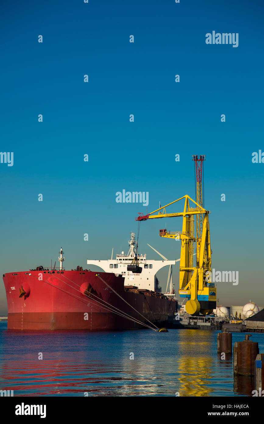 Bulk Schiff entladen Kohle im Hafen von amsterdam Stockfoto