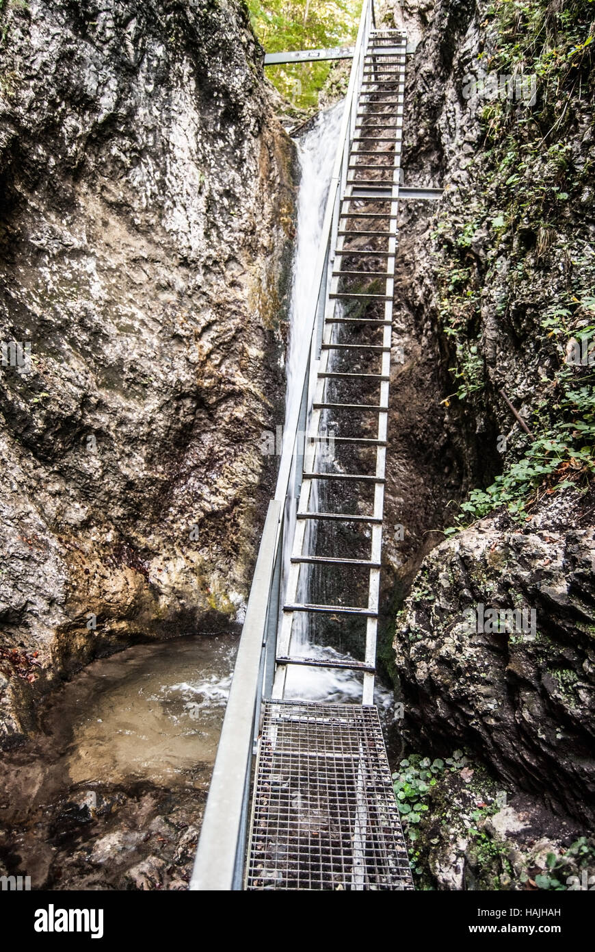 Leiter auf Wanderweg mit Wasserfall und Felsen rund um in Janosikove Diery Wasserrinne in Mala Fatra Gebirge in der Slowakei Stockfoto