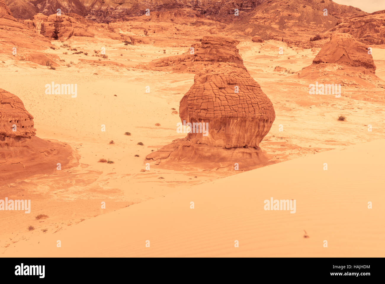 Gold trockenen Wüstenlandschaft Sinai, Ägypten Stockfoto