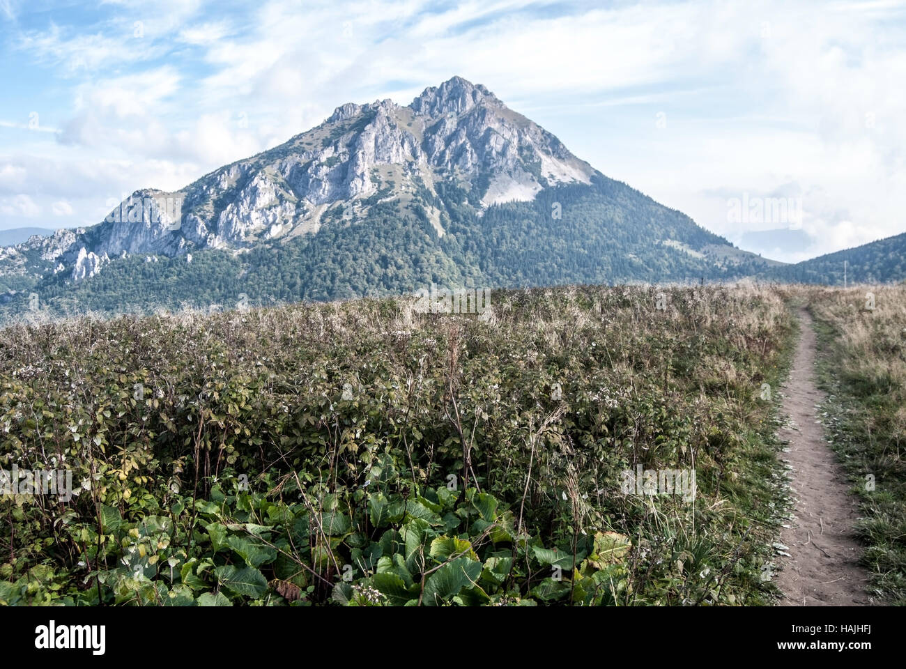 Herbst Bergwiese mit Wanderweg auf stohove sedlo mit Velky Rozsutec Hügel auf dem Hintergrund in der Mala Fatra Gebirge in der Slowakei Stockfoto