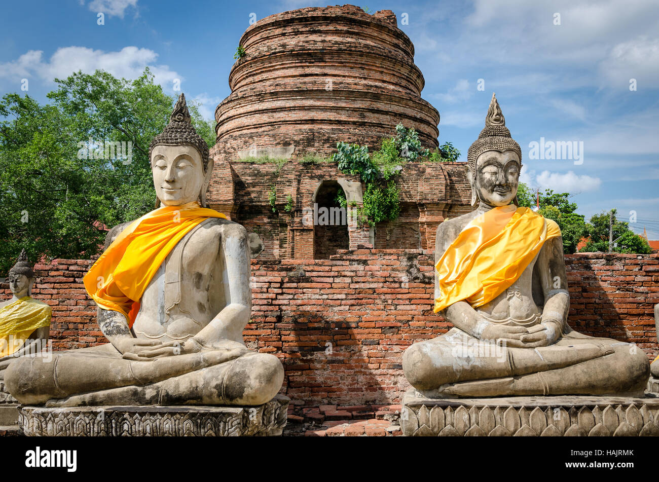 Ayutthaya (Thailand), Buddha-Statuen in alten Tempelruinen Stockfoto