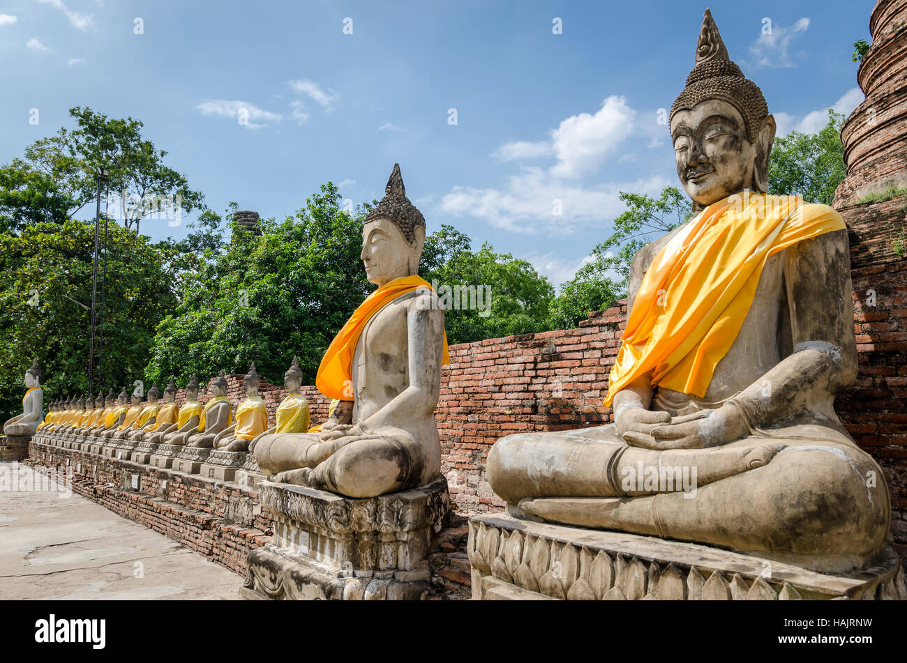 Ayutthaya (Thailand), Buddha-Statuen in alten Tempelruinen Stockfoto