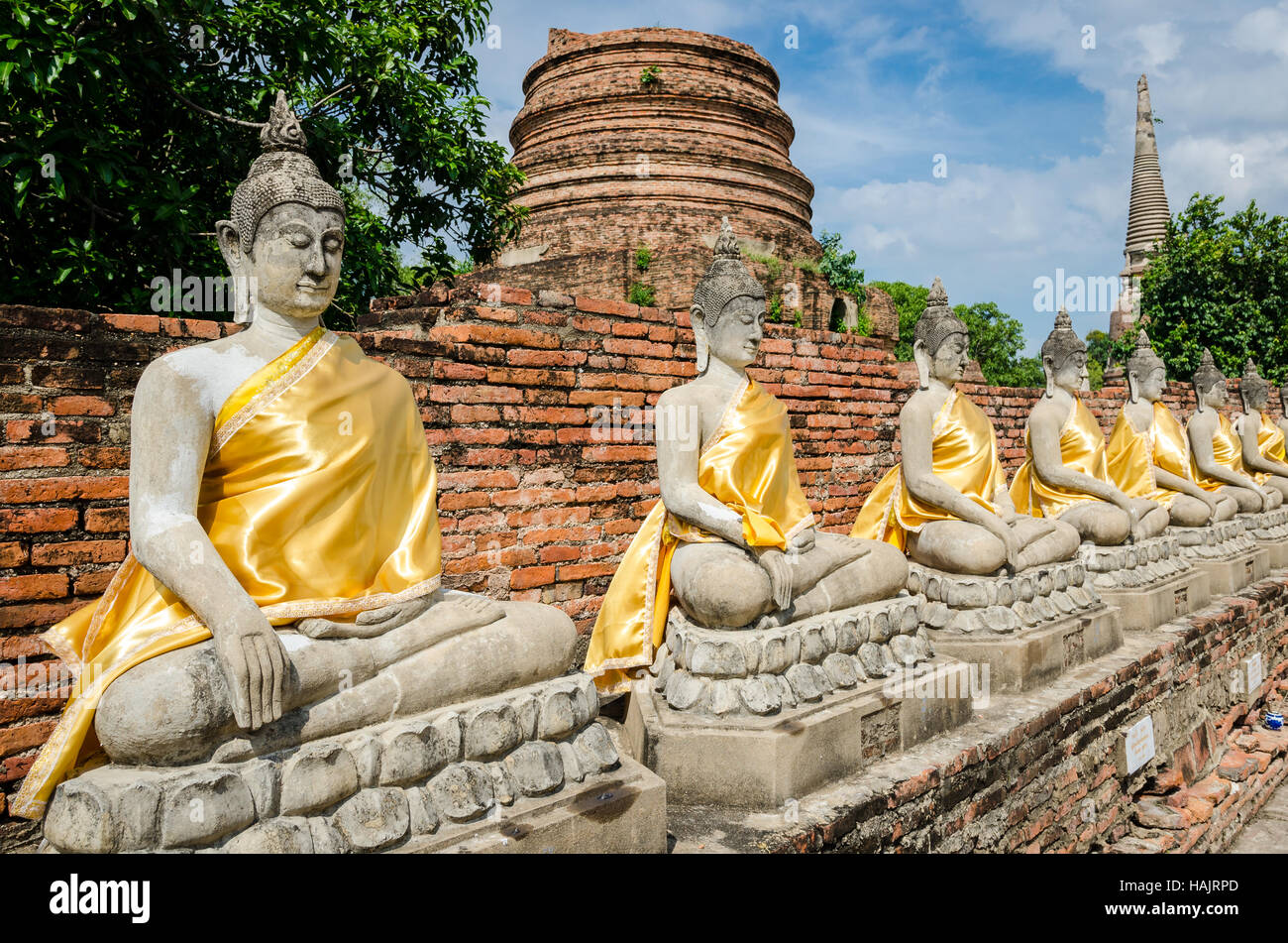 Ayutthaya (Thailand), Buddha-Statuen in alten Tempelruinen Stockfoto