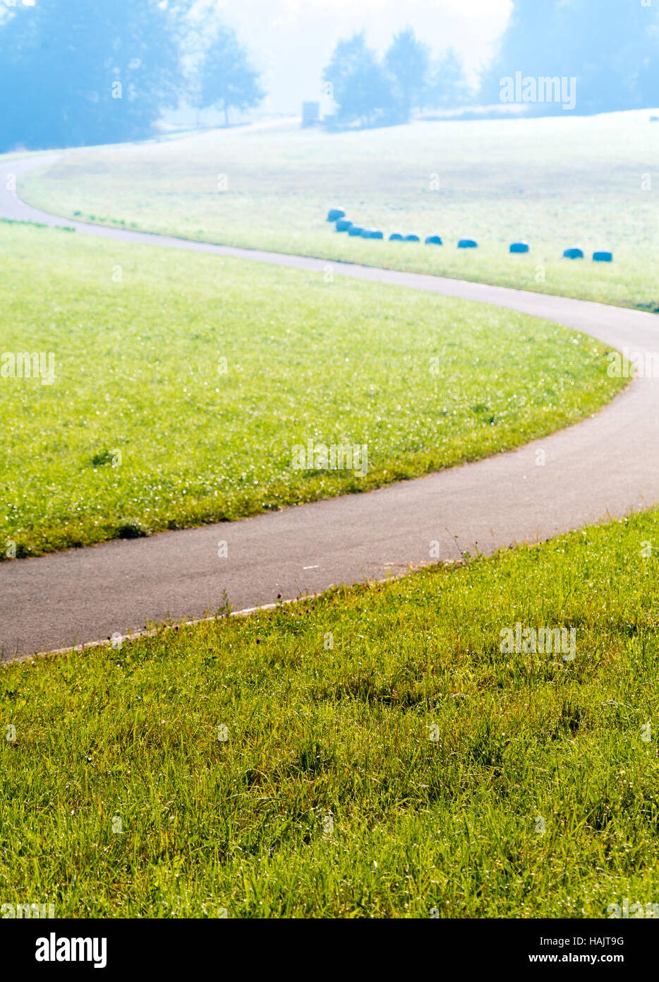 Kurvenreiche Straße auf der grünen Wiese in den frühen Morgenstunden Stockfoto