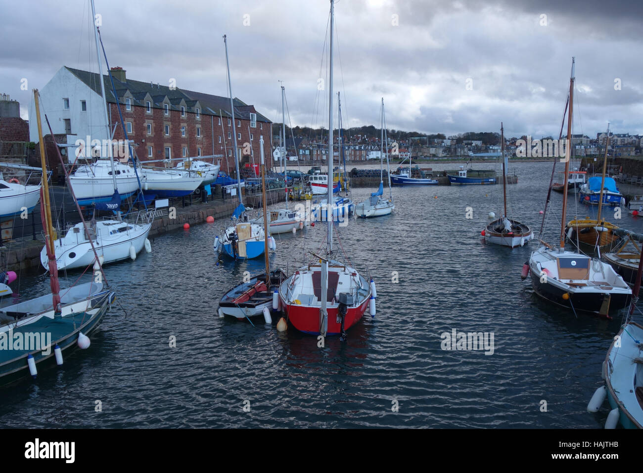 Abgetakelten Yachten am Kai, Winter, Hafen, North Berwick Stockfoto