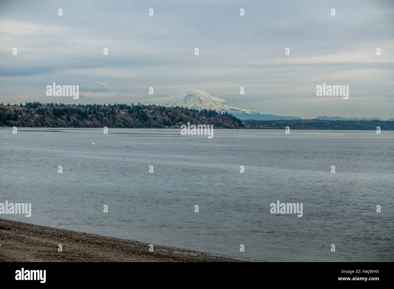 Ein Blick auf Mount Rainier an einem bewölkten Tag. Stockfoto