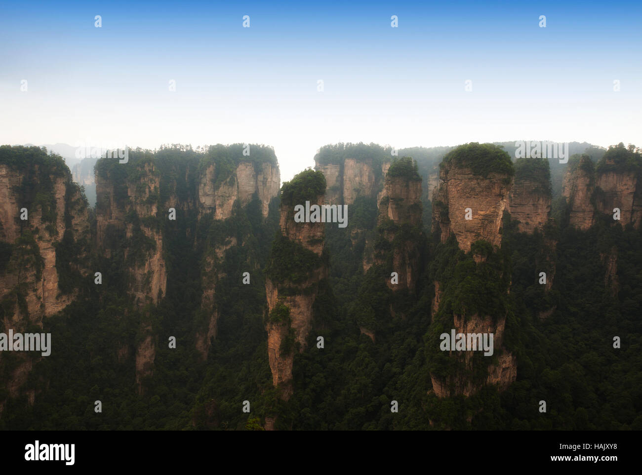 Die Berge dramatische Landschaft in Zhangjiajie National Forest Park in der Provinz Hunan China. Stockfoto