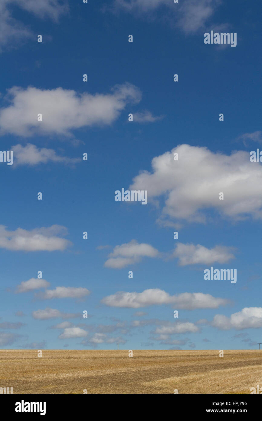 Blauer Himmel und Wolken über einem frisch geernteten Feld Stockfoto