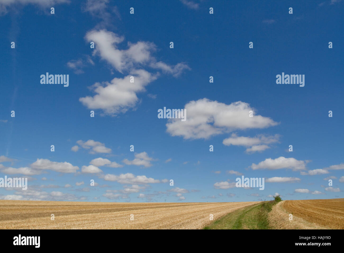 Blauer Himmel und Wolken über einem frisch geernteten Feld Stockfoto