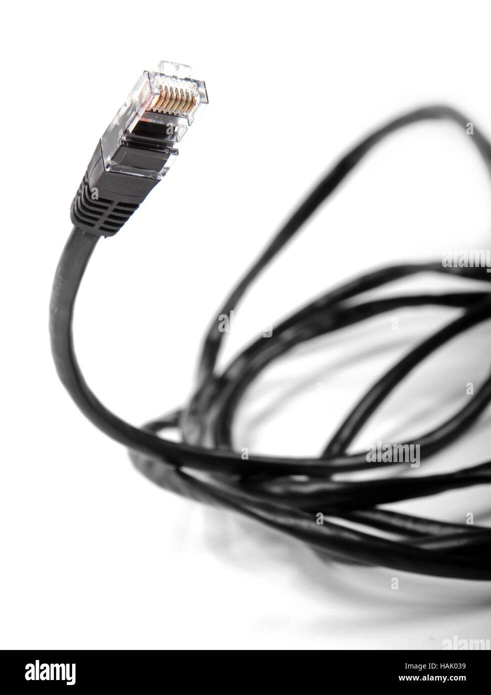 Internet-Kabel isoliert auf weiss Stockfoto