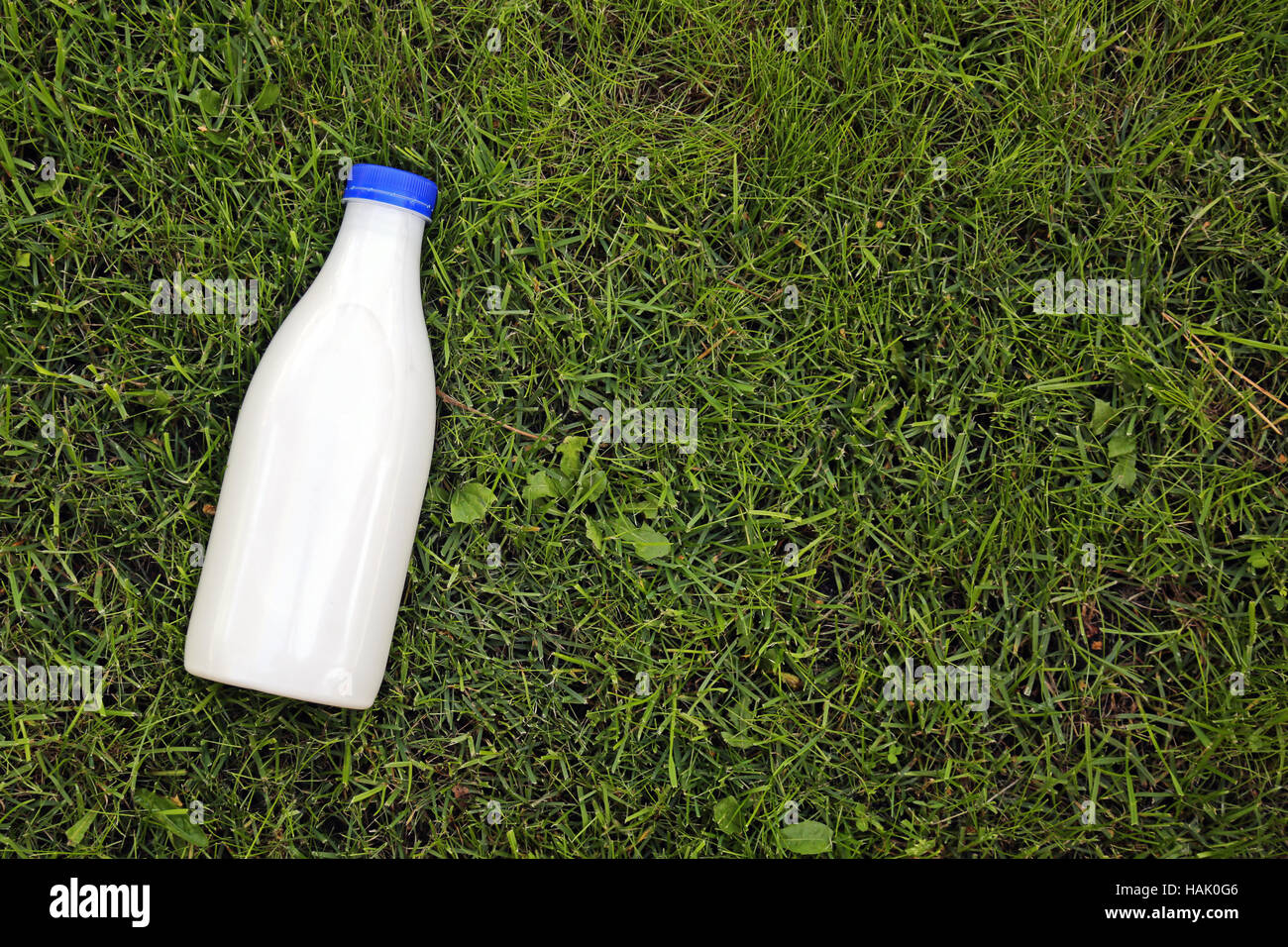 Draufsicht der Milchflasche auf dem Rasen mit Textfreiraum Stockfoto