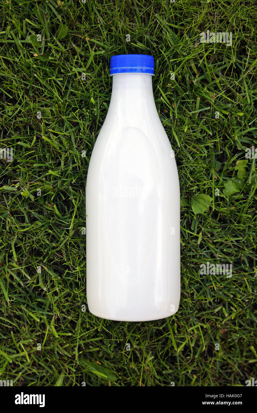 Draufsicht der leere Milchflasche auf dem Rasen Stockfoto