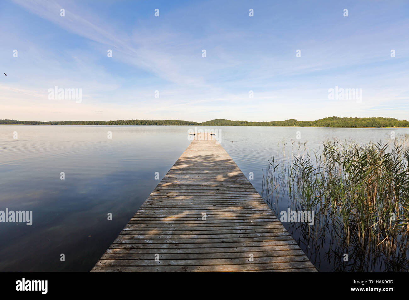 Holzsteg am Ungurs See in Lettland Stockfoto