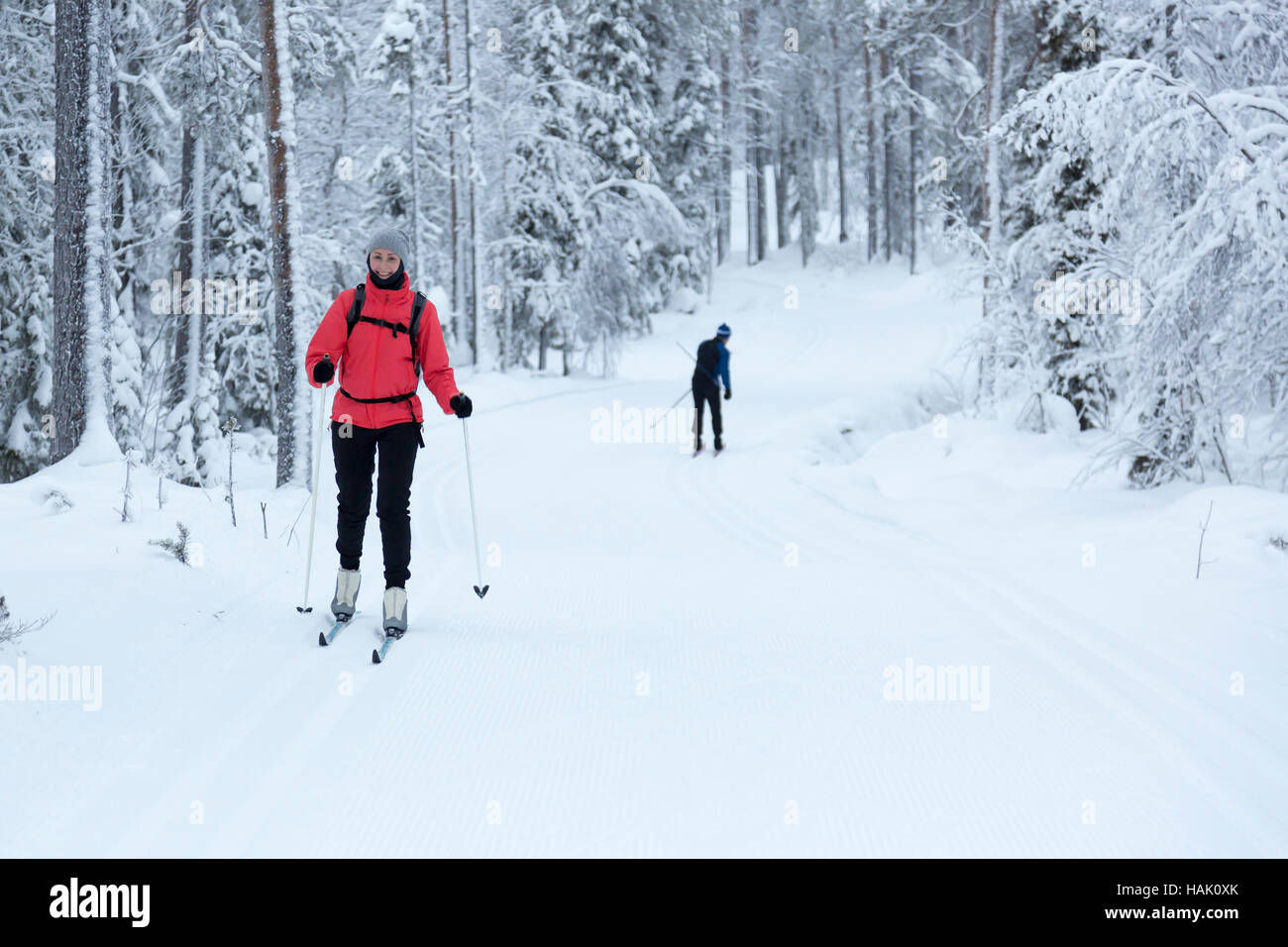 Frau-Langlaufen im verschneiten Wald Stockfoto