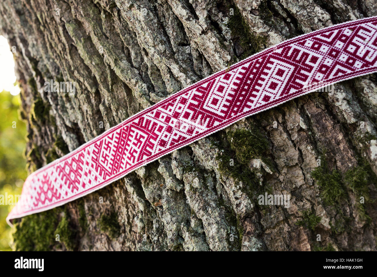 Nationale Symbole Lettlands - Lielvarde Gürtel um den Baum Stockfoto