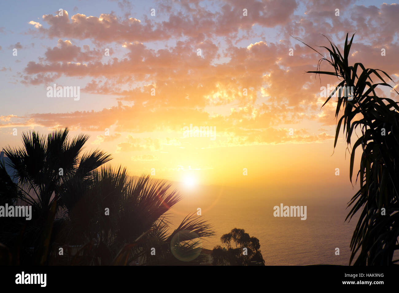 Sonnenuntergang Himmel über Wasser mit Palm-Baum-Silhouetten Stockfoto