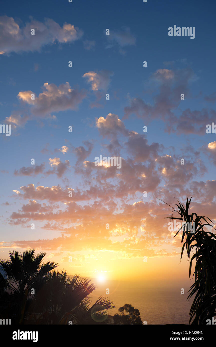 Sonnenuntergang Himmel über Wasser mit Palm-Baum-Silhouetten Stockfoto