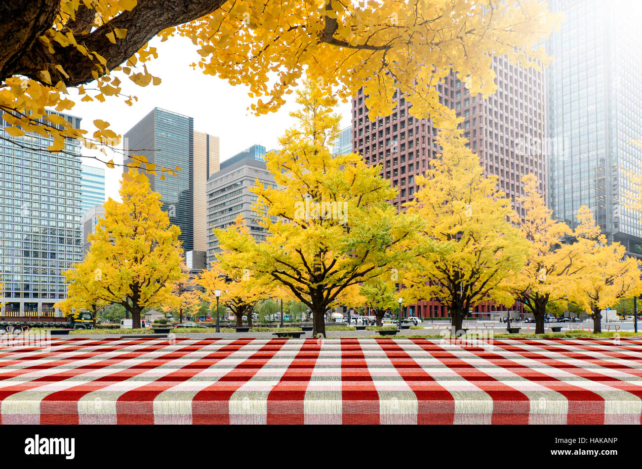 Herbstlaub in Tokio, Japan. Picknick-Tisch im Park mit gelben Ginkgo Blätter im Herbst. Stockfoto