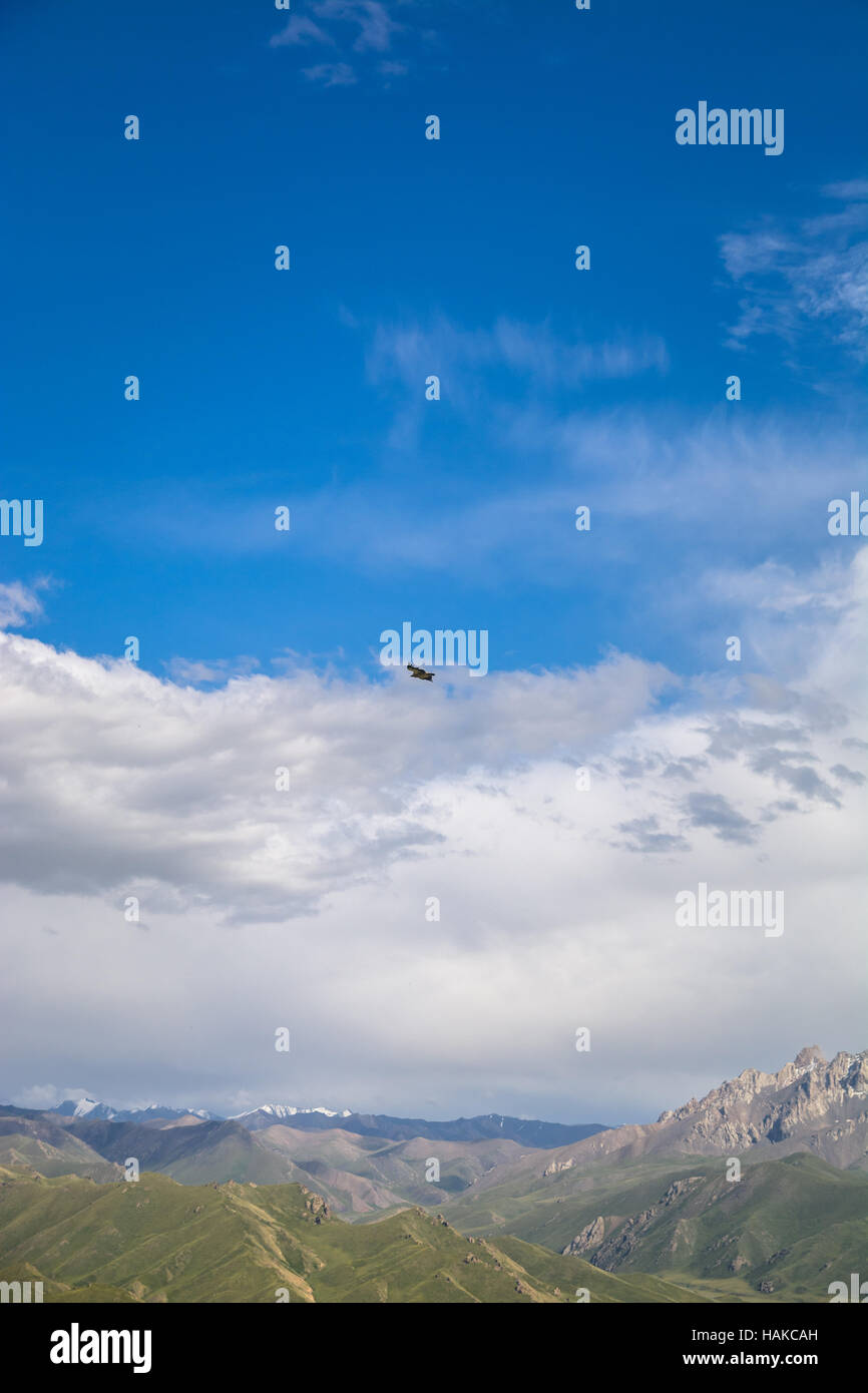 Vogel auf einem blauen Himmel mit Wolken über Berggipfel in Kirgisistan Stockfoto