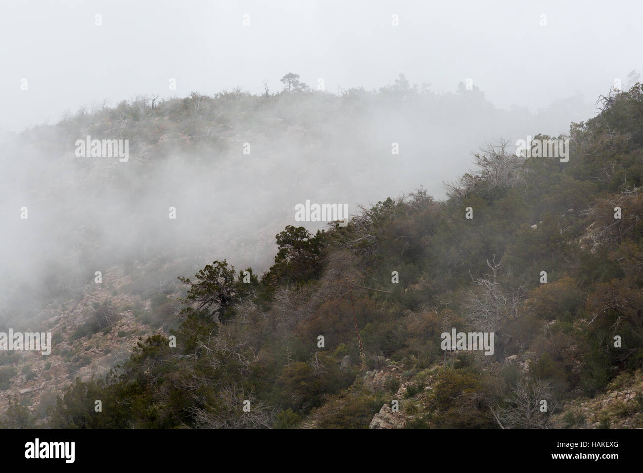 Nebliges Wetter engulfing Wüste Hochgebirge der Mazatzal Mountains. Mazatzal Wildnis, Arizona Stockfoto